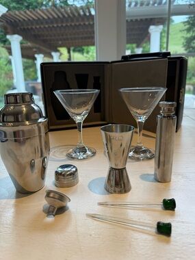 Martini Glasses & Cocktail Bar Tool Set - Clear Glass, Silver Tools 🍸